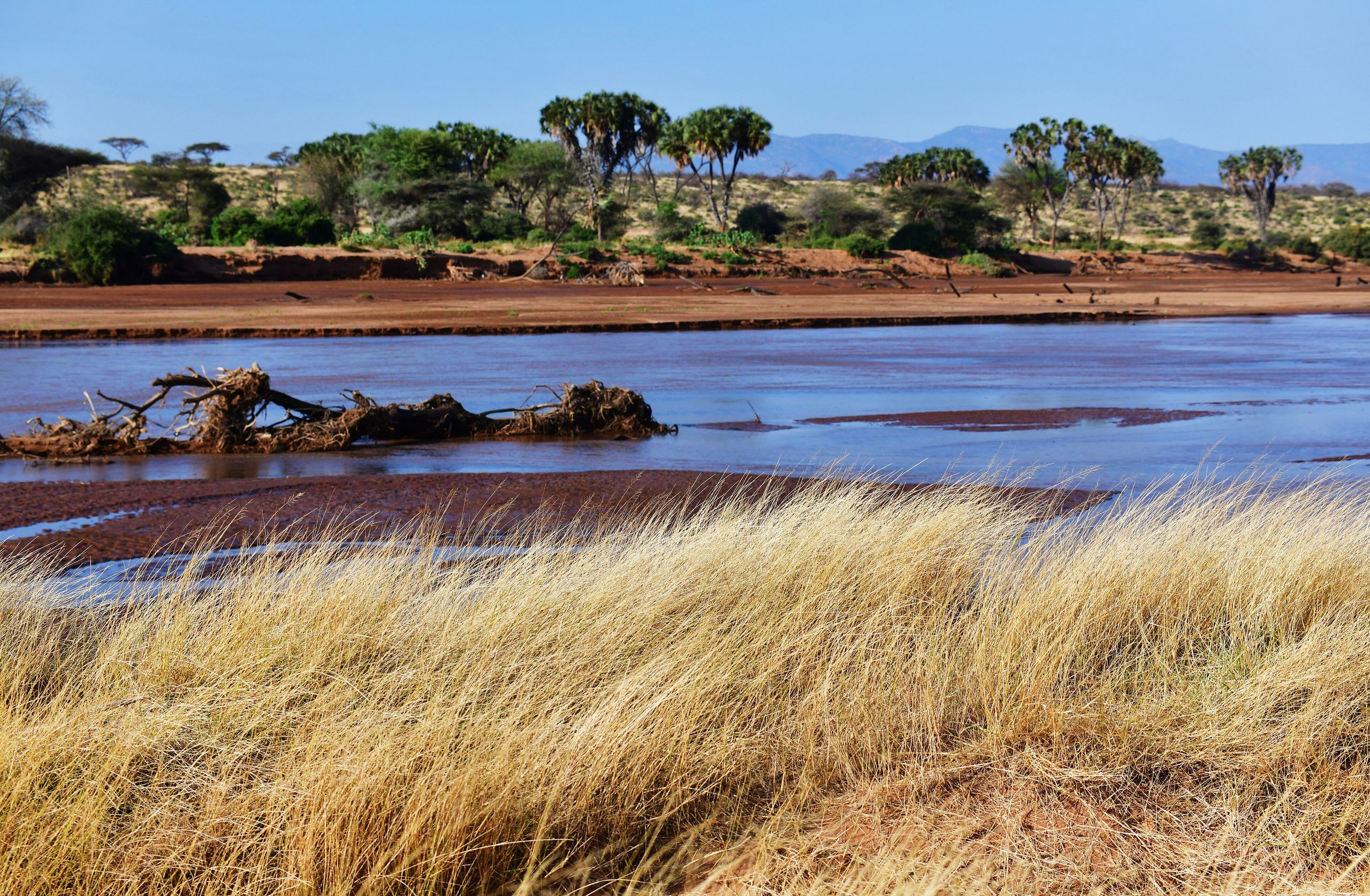 The Ewaso Ngiro river running through Samburu National Reserve