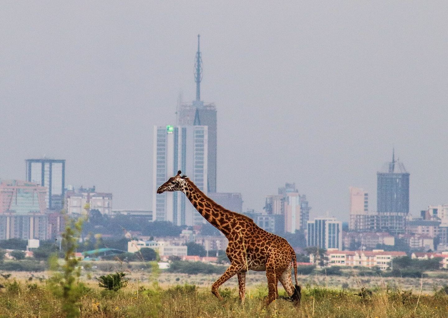 Nairobi business district skyline