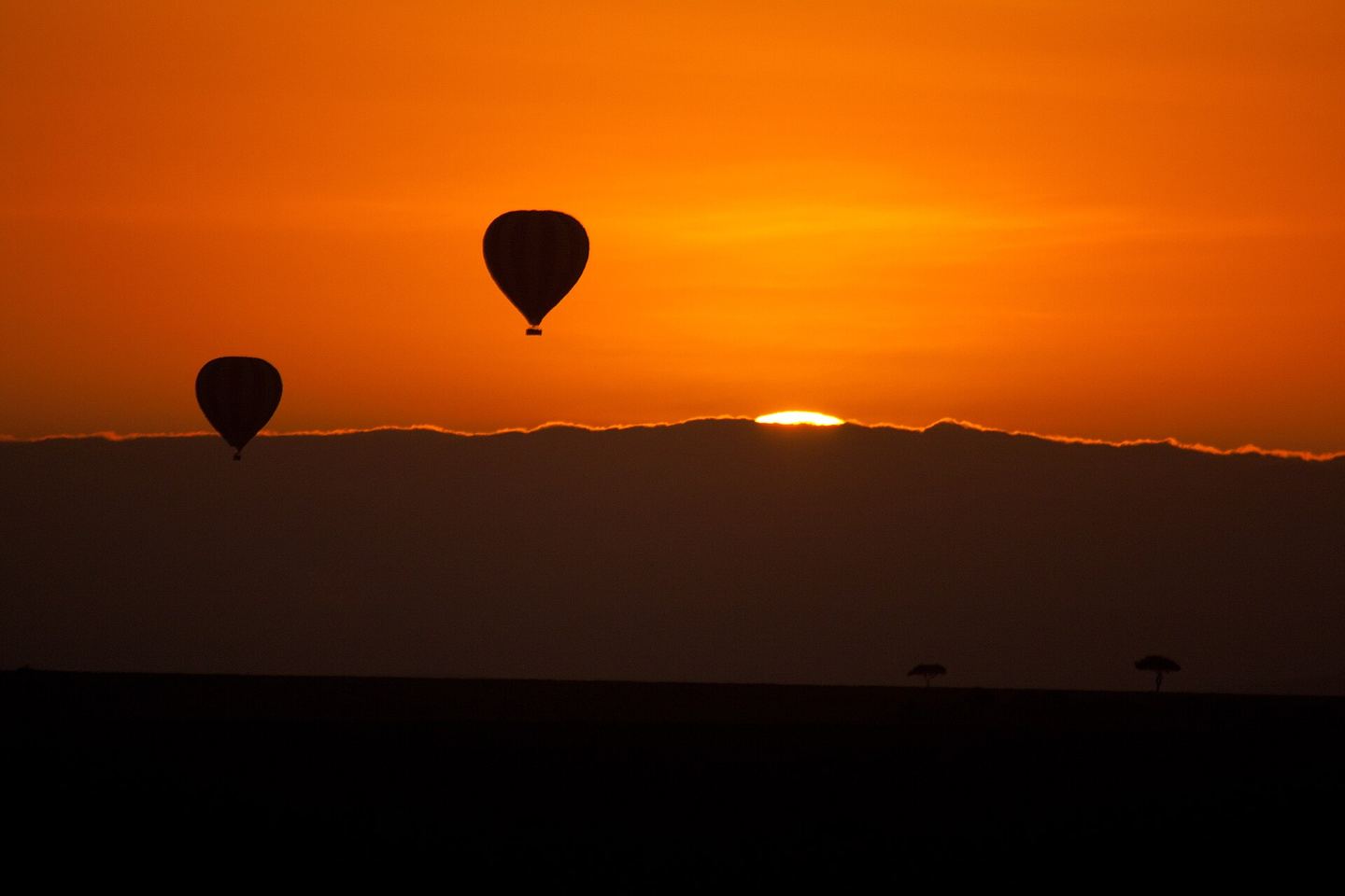 Sunrise over the Maasai Mara savanna